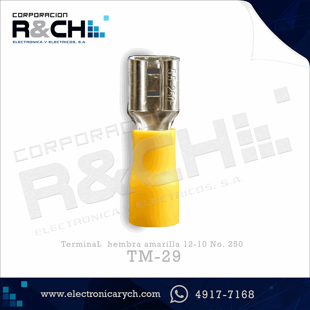 TM-29 terminal hembra amarilla 12-10 No. 250