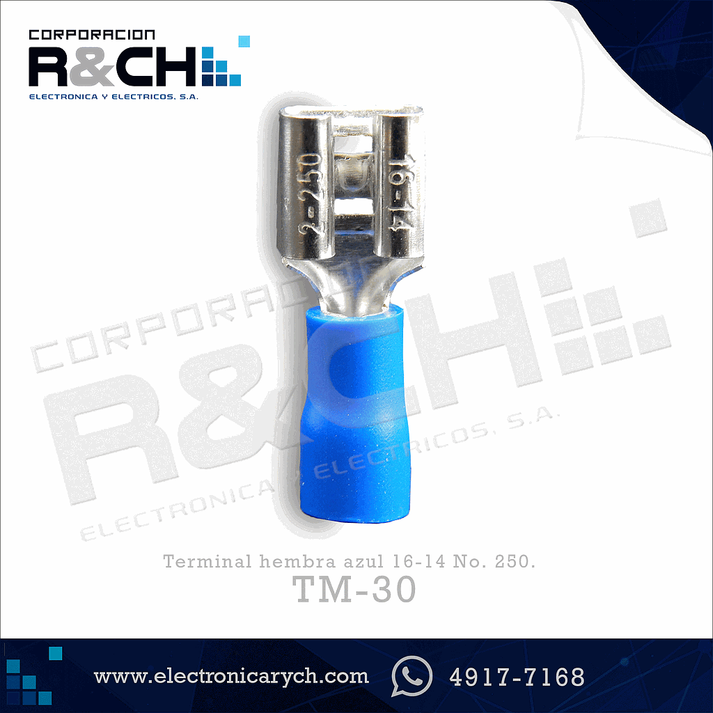 TM-30 terminal hembra azul 16-14 No. 250.